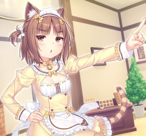 Azuki from Nekopara Nekopara Coconut And Azuki, Azuki Nekopara, Nekopara Azuki, Nekopara Pfp, Coconut Nekopara, Nekopara Icons, How To Draw Anime Hair, Anime Body Drawing, Anime Book