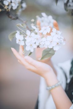 Untitled Happy Wallpaper, Hand Photography, Aesthetic Roses, Dreamy Photography, Book Flowers, Instagram Ideas Photography, Cute Photography, Girly Pictures, Beautiful Nature Wallpaper