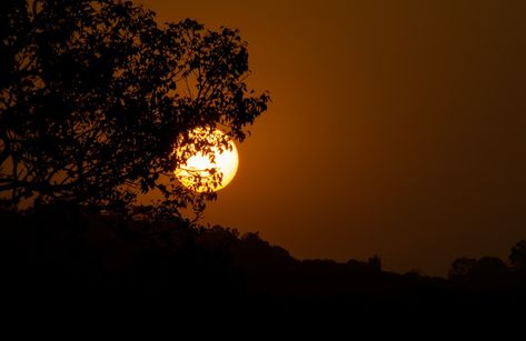 full moon covered with tree photo – Free Nature Image on Unsplash Moon Cover Photo Aesthetic, Lanscape Photoshoot Aesthetic, Moon Cover Photo, Dan Snow, Photo Of Nature, Aesthetic Moon, Photoshoot Aesthetic, Free Nature, Tree Photo