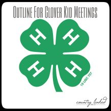 Clover Kid Outline 4 H Clover, 4h Ideas, 4 H Club, Ffa, Resource Library, 4 H, Just In Case, Programming, Science