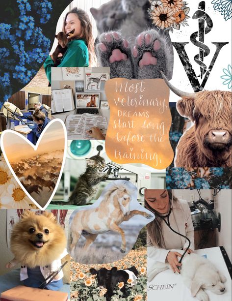 Procreate Vision Board Procreate Vision Board, Animal Vision Board, Veterinarian Vision Board, Vet Vision Board, Wildlife Vet, Vet Aesthetic, Wallpapers Christian, Shadow Journal, Animal Management