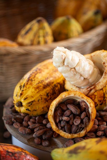 Cacao Photography, Cacao Pod, Cocoa Fruit, Cacao Fruit, Cacao Chocolate, Cocoa Beans, Fruits For Kids, Chocolate Fruit, Natural Form