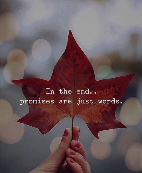 Promises Are Just Words, Cute Posts, Loyal Friends, Power Of Positivity, Best Inspirational Quotes, Daily Inspiration Quotes, Quotes Love, English Quotes, Chandigarh