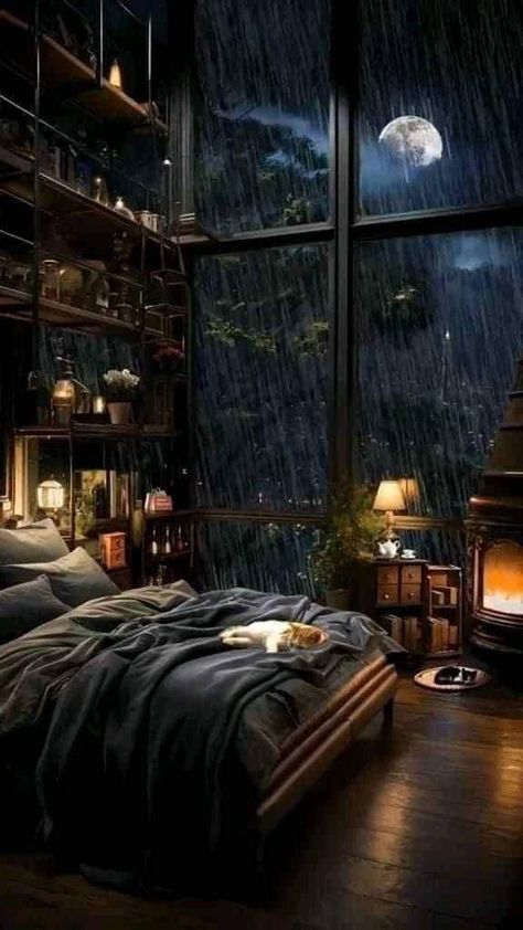 The Woods Aesthetic Dark, Dark Cozy Cabin, Cabin In The Woods Aesthetic Dark, Rain Good Night, Woods Aesthetic Dark, Cabin In The Woods Aesthetic, In The Woods Aesthetic, The Woods Aesthetic, I Love The Rain