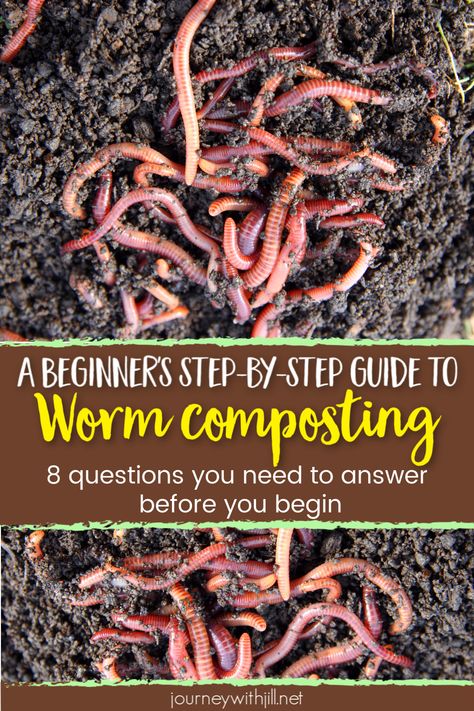 If you want to begin your own vermicomposting, you'll need a DIY guide to answer all of your worm composting questions. From what kind of bin to buy to how to make it, whether you worm compost indoors or outside, this guide will help you begin your own mini worm farm and so you can make your own nutritious worm casting fertilizer for your vegetable garden! #vermicomposting #gardening #beginnersgarden Worm Farm Diy, Worm Bin, Diy Compost, Red Worms, Worm Castings, Worm Composting, Worm Farm, Garden Compost, Earthworms