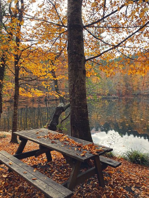 Autumn By The Lake, Fall By The Lake, Cottage Fall Aesthetic, Autumn Lake Aesthetic, Hello November Aesthetic, Maine Autumn, Northern Attitude, Evermore Aesthetic, November Vibes