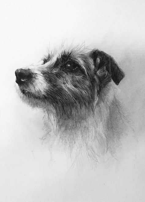 Parson Russell graphite pencil drawing. Custom pet portrait. Dog drawing #pencilart #portraitpet #animalart Dog Pencil Drawing, Hyperrealistic Drawing, Jesus Art Drawing, Dog Portraits Art, Watercolor Art Face, Cats Art Drawing, Dog Sketch, Charcoal Sketch, Pets Drawing