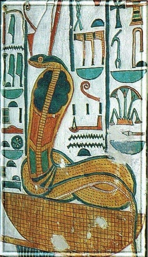 Ancient Egypt Aesthetic, Harry Potter Art Drawings, Museum Studies, Ancient Egypt History, Mythical Birds, Ancient Egypt Art, Snake Art, Egyptian Hieroglyphics, Ancient Designs