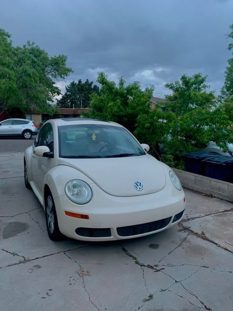 Slug Bug Car Aesthetic, Bettle Volkswagen Aesthetic, Volts Wagon Beetle, Slug Bug Car, 2006 Volkswagen Beetle, Pink Volkswagen Beetle, 1st Car, Slug Bug, Volkswagen Beetles