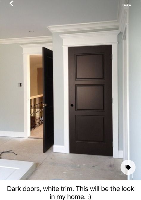 Black Doors Interior White Trim, Trim Entryway, Black Doors Interior, Brown Interior Doors, Dark Brown Bedrooms, Interior Door Colors, Pale Blue Walls, Painting Trim White, Doors And Trim