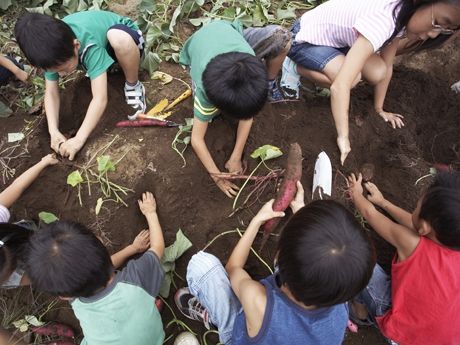 Earth Day: Lesson Plans, Reading Lists, and Classroom Ideas | Edutopia Horticulture Therapy, Gardening Club, Natural Play, Garden Therapy, Science Vocabulary, Kindergarten Lesson Plans, Engage Kids, Kindergarten Lessons, Educational Activities For Kids