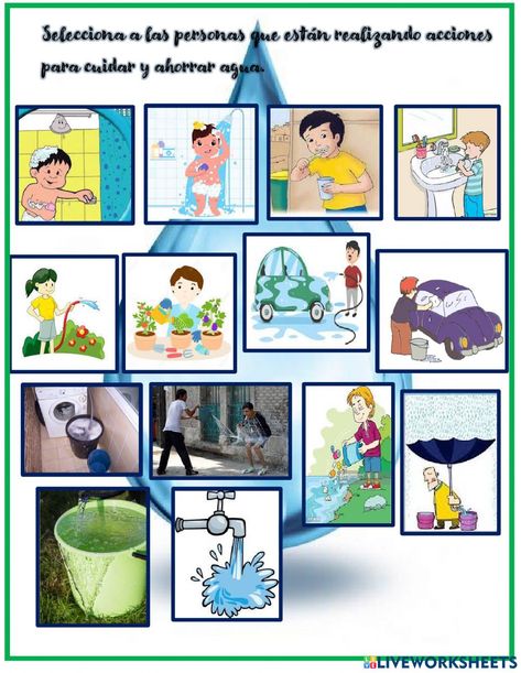 Ejercicio de Día Mundial del Agua World Water Day, Water Day, Year 11, School Subjects, Lily