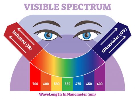 Visible Light Spectrum, Color Generator, Visible Spectrum, Different Colored Eyes, On The Spectrum, Color Blind, Color Meanings, Plant Lighting, Color Spectrum