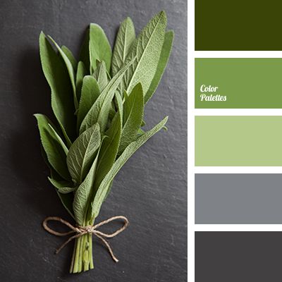 color palettes gray green red | light green and dark gray | Color Palette Ideas Grey Color Palette, Room Paint Colors, Different Shades Of Green, Design Seeds, Living Room Green, Color Balance, Bedroom Green, Bathroom Colors, Kitchen Colors