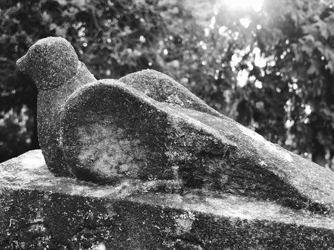 https://flic.kr/p/Z6oy52 | Dove on a gravestone | Greenwood Hills Cemetery - Portland, Oregon. Greenwood Cemetery, Portland Oregon, Cemetery, Portland, Oregon