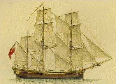 John Nichols - First Fleet Convict - Grandad Philp's side of the family Hms Prince Of Wales, Merchant Ship, Model Sailing Ships, First Fleet, Richard Johnson, Model Warships, Australia History, Nautical Tattoo, Vintage Nautical