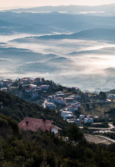 Latakia Kessab Latakia Syria, Summer Dream, Syria, Middle East, Natural Landmarks, Water, Travel, Nature