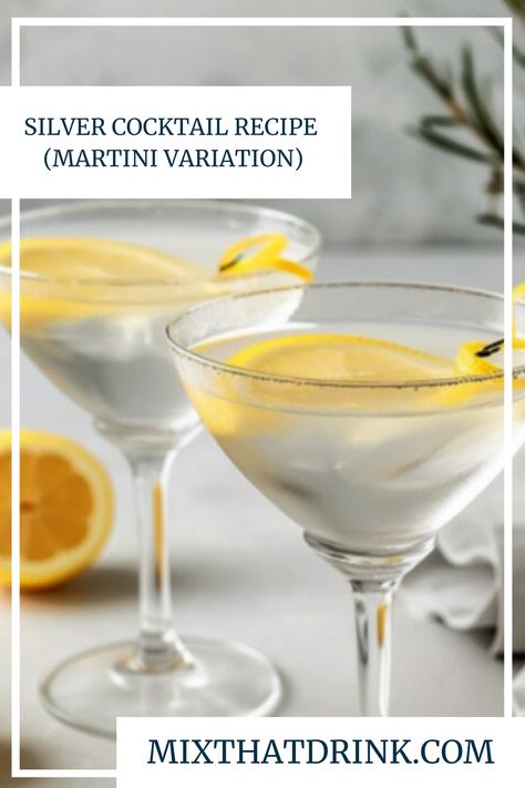 The Silver Cocktail mixes gin, dry vermouth and maraschino liqueur with a touch of sweetness and bitters. Think martini with cherry-almond flavor. Lemon Peel Garnish, Maraschino Liqueur, Cocktail Party Drinks, Orange Bitters, Gin Recipes, Classic Martini, Classic Cocktail Recipes, Gin Drinks, Dry Vermouth