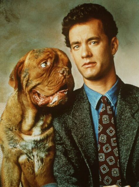 Tom Hanks-Scott und Huutsch Chien Cane Corso, Turner And Hooch, Tom Hanks Movies, Vintage Movie Theater, Bordeaux Dog, Vintage Films, French Mastiff, Dog Movies, Famous Dogs