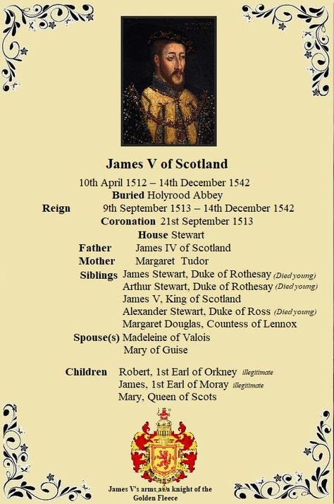 Scotland Royalty, Scottish Royalty, European Royal Family Tree, Mary Of Guise, Royal Family History, Family History Projects, Royal Family Trees, Scottish Ancestry, Scotland History