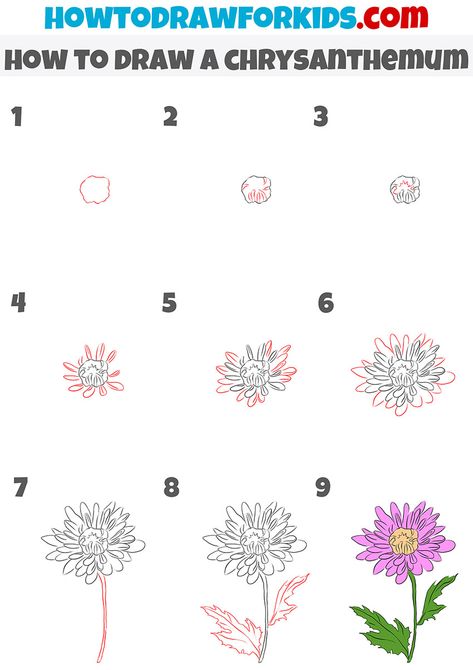 how to draw a chrysanthemum step by step Chrysanthemum Tutorial Drawing, How To Draw Aster Flower Step By Step, How To Draw Chrysanthemum Step By Step, How To Draw Aster Flower, How To Paint A Chrysanthemum, Chrysanthemum Painting Easy, Chrysanthemum Drawing Step By Step, Easy Chrysanthemum Drawing, Crysantenum Flower Illustration