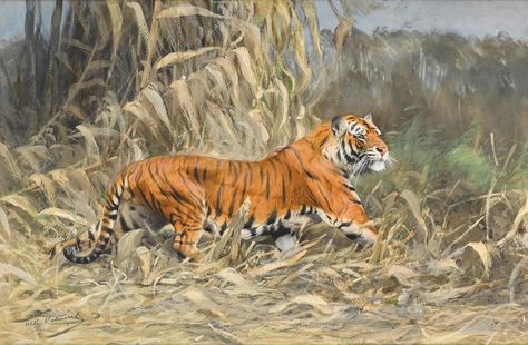 Wilhelm Kuhnert - Artvee Jackson Hole Art, Animal Painter, Tiger Wall Art, Japan Painting, Tiger Painting, Wild Tiger, Tropical Animals, Wooden Canvas, Cats Artists