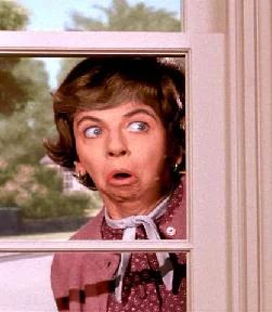 A neighbor (usually female) who just cannot keep to herself. Usually a grotesquely stereotyped shrewish gossip — always on the lookout for delicious secrets and rumors about the characters, which is emphasized by showing her peering … Gladys Kravitz, Nosey Neighbors, Nosy Neighbors, Server Life, That's Hilarious, Agnes Moorehead, Elizabeth Montgomery, Old Tv Shows, Vintage Tv