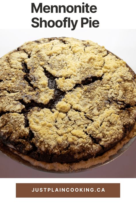 Wet Bottom Shoo Fly Pie Recipe, Shoo Fly Cake Recipe, Molasses Pie, Shoo Fly Pie, Shoofly Pie, Molasses Recipes, Simple Pantry, Shoo Fly, Easy Pie Recipes