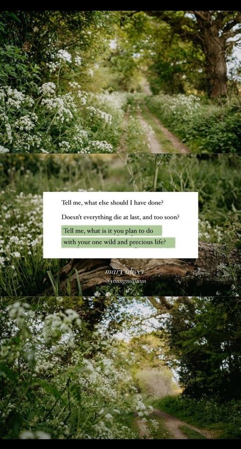 Tell me, what else should I have done? Doesn't everything die at last, and too soon? Tell me, what is it you plan to do with your one wild and precious life? -Mary Oliver One Wild And Precious Life, Wild And Precious Life, Poems About Life, Mary Oliver, Too Soon, World Of Books, Done With You, I Have Done, At Last