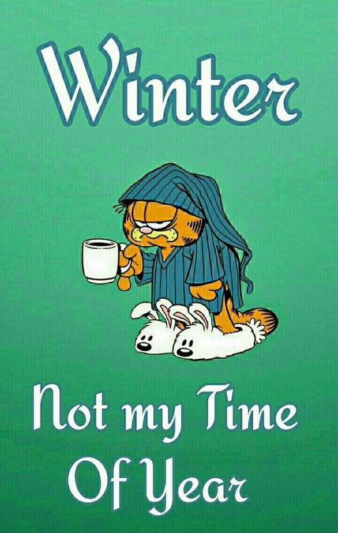 Garfield Funny, Cold Humor, Funny Winter Quotes, Cold Weather Funny, Winter Good Morning, Cold Weather Quotes, Garfield Quotes, I Hate Winter, Winter Humor