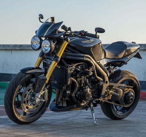 Triumph Speed Triple Custom, Motard Bikes, Triumph Triple, Bmw G310r, Top Bikes, Naked Bikes, Triumph Speed Triple 1050, Moto Triumph, Triumph Motorcycle