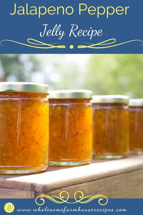 This easy homemade Jalapeno Pepper Jelly recipe is the perfect blend of sweet and spicy. It is so wonderful to be able to create a jelly at Jalapeno Pepper Jelly Recipe, Jalapeno Jelly Recipe, Savory Gifts, Jalapeno Jelly Recipes, Jalapeño Jelly, Pepper Jelly Recipe, Jalapeno Pepper Jelly, Pepper Jam, Pepper Jelly Recipes