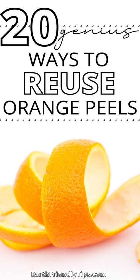 You already know oranges are a sweet treat that are great for your health. But did you also know there are a variety of awesome ways you can reuse orange peels? Before you throw away those peels, be sure to check out this list of 20 genius ways to reuse orange peels. You'll find plenty of incredible ways to use orange peels around the house so you don't have to throw the away. Check out these amazing ways to reuse orange peels today! eco-friendly|zero waste|reuse|ways to reuse orange peels Boil Orange Peels, Orange Peel Benefits, Orange Peels Uses, Orange Peels, Drinking Hot Water, Drinking Lemon Water, Lemon Water Benefits, Orange Water, Get Rid Of Warts