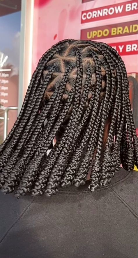 Barrel Knotless Braids, Barrel Braids, Brown Box Braids, Latest Braided Hairstyles, Job Goals, Latest Hair Braids, Protective Style Braids, Cornrows Braids For Black Women, Braid Updo