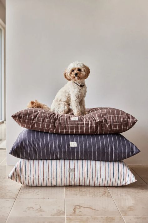 Stylish Dog Beds, Kids Room Accessories, Summer Furniture, Animal Cushions, Outdoor Deco, Outdoor Furniture Sofa, Dog Cushions, Burke Decor, Pet Furniture