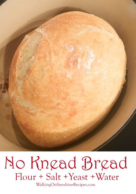 Water Bread No Knead, Water Bread Recipe Easy, Water Bread Recipe, No Fail Bread, No Knead Dinner Rolls, Water Bread, No Knead Bread Recipe, Recipes With Yeast, Homemade Baked Bread