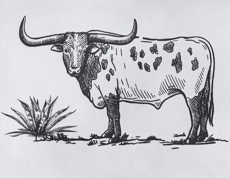 Ox Sketch Drawings, Long Horn Drawing Simple, Country Easy Drawings, Western Skull Drawing, Western Outline Tattoo, Easy Western Drawings For Beginners, Old Western Drawings, Western Doodles Easy, Long Horn Drawing