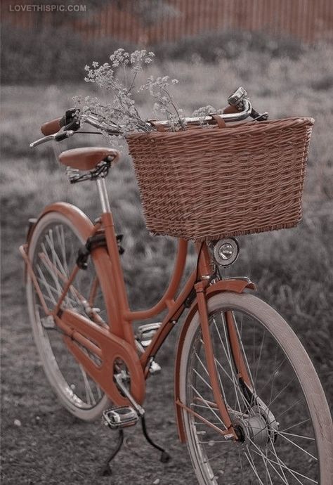 Aesthetic Bicycle Pictures, Cottagecore Bike, Body Wraps Recipe, Old Fashioned Bike, Bicycle Aesthetic, Bike Skirt, Aesthetic Bike, Bicycle Pictures, Bike With Basket