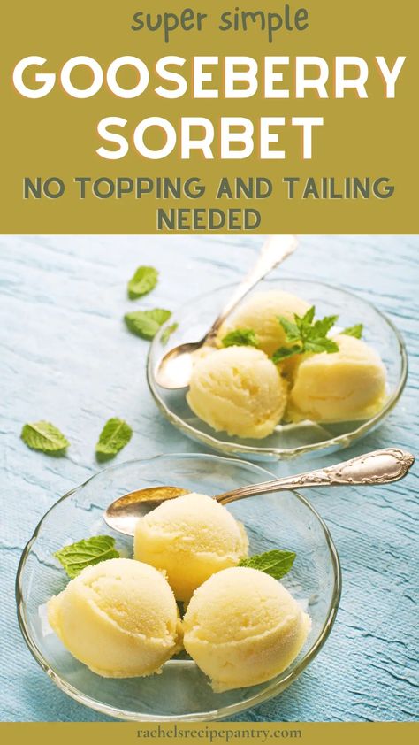 Mary Berry\'s Simple Gooseberry Sorbet Gooseberries Recipes, Gooseberry Sorbet, Gooseberry Recipes Desserts, Gooseberry Ice Cream, Allotment Recipes, Easy Bakes, Gooseberry Recipes, Ground Cherry, Desserts Gluten Free