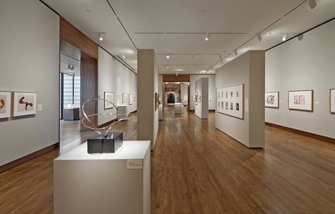 Gallery of The Chazen Museum of Art / Machado and Silvetti Associates - 4 Small Museum Design, Small Shop Design, Thai Modern, Art Jobs, Museum Display Cases, Small Museum, Commercial Space Design, Museum History, Museum Cafe