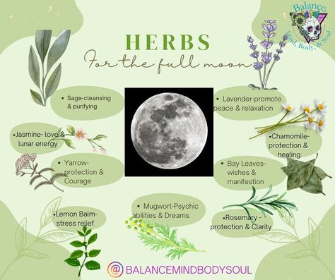 Herbs For Full Moon Ritual, Full Moon Herbs, Divination Herbs, Full Moon Incense, Witchy Knowledge, Moon Herbs, Full Moon Tea, Body Maintenance, Sage Uses