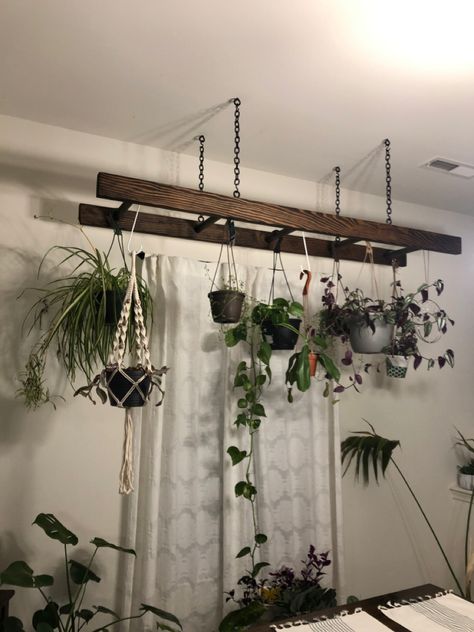 Ways To Hang Plants From Ceiling, Hanging Ladder With Plants, Hanging Ladder From Ceiling, Ladder Plant Hanger, Hang Plants From Ceiling, Balcony Ceiling, Hang Plants, Plant Ladder, Hanging Ladder