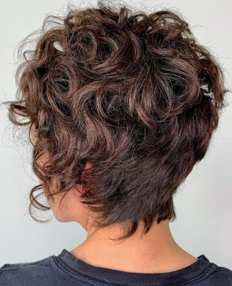 Curly Pixie with Longer Shaggy Layers on Top Curly Curly Hair, Wispy Layers, Layered Pixie Cut, Shaggy Pixie Cuts, Wavy Pixie Cut, Short Curly Hairstyles For Women, Curly Pixie Hairstyles, Shaggy Pixie, Curly Pixie Haircuts