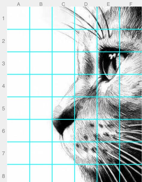 Drawing Grid Ideas, Grid Pictures To Draw, Grid Drawing Practice, Gridded Drawing Reference, Easy Grid Drawing, Grid Drawing Ideas Easy, Grid Method Drawing, Grid Drawing Ideas, Grid Drawing Worksheet