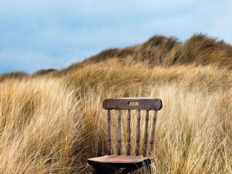 How loneliness became an epidemic - New Statesman Movable Partition, Chair Photography, Chair Pictures, Photographs Ideas, Plywood Furniture, Photography Poses For Men, Artistic Photography, Wooden Chair, Abandoned Places