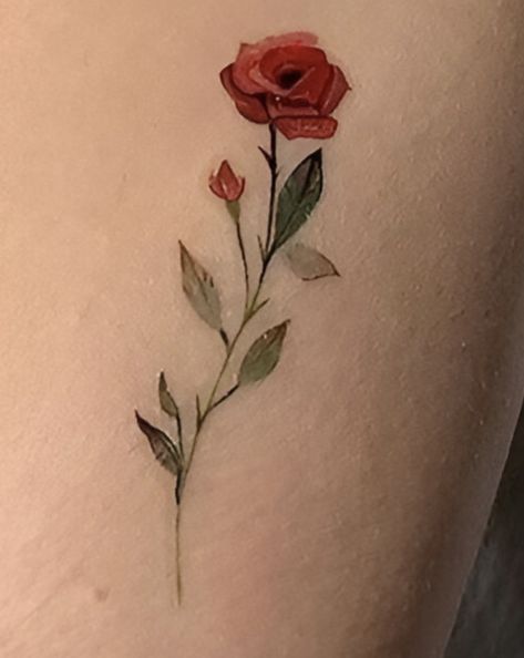 Watercolor Rose Tattoo, Single Rose Tattoos, Watercolor Rose Tattoos, Single Rose, Watercolor Rose, Rose Tattoos, Rose Tattoo, Tattoos