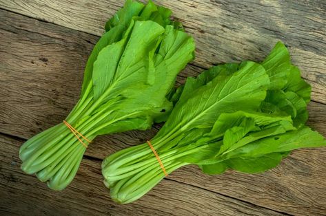 9 Problems Growing Mustard Greens and How to Address Them Growing Mustard, Houston Garden, Clumping Bamboo, Mustard Plant, Flea Beetles, Cabbage Worms, Twig Dogwood, Chicken Tractors, Acid Loving Plants