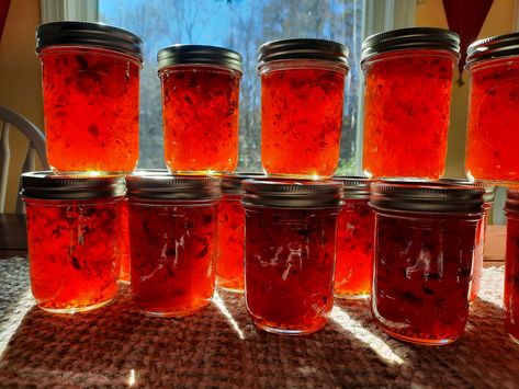 Muscadine Pepper Jelly Recipe, Muscadine Recipe, Muscadine Jelly, Pepper Jelly Recipes, Hot Pepper Jelly, Grape Recipes, Homemade Jelly, Pepper Jelly, Jam And Jelly