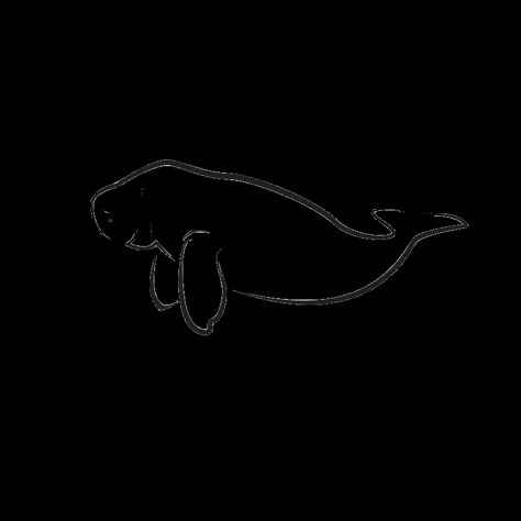 Fine Line Manatee Tattoo, Manatee Line Drawing, Simple Manatee Drawing, Small Manatee Tattoo, Manatee Tattoo Ideas, Dugong Tattoo, Simple Manatee Tattoo, Manatee Outline, Dugong Drawing