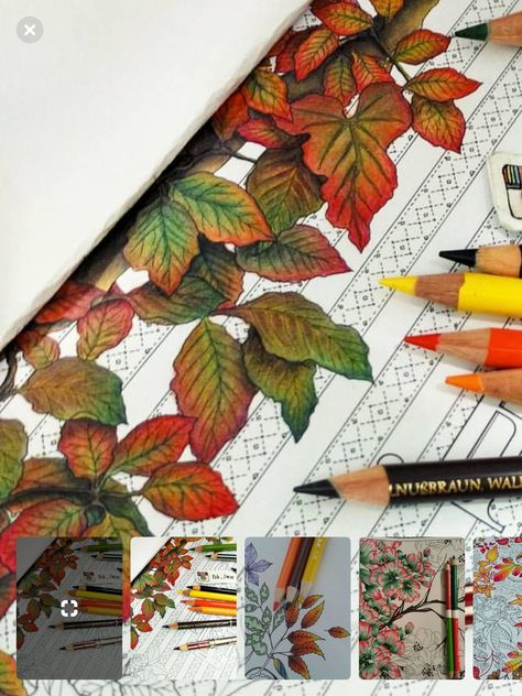 Fall Leaves Colored Pencil, How To Color Fall Leaves With Colored Pencils, Colouring Leaves With Pencils, Coloring Leaves With Colored Pencils, Prismacolor Color Combinations Chart, Secret Garden Coloring, Colored Pencil Art Projects, Joanna Basford Coloring, Blending Colored Pencils